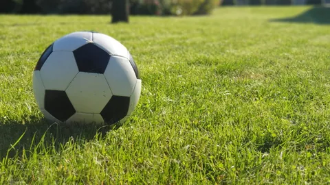 WTT蒙彼利埃站：中国乒乓球队无缘冠军，单打金牌被法日选手夺走——环球时报